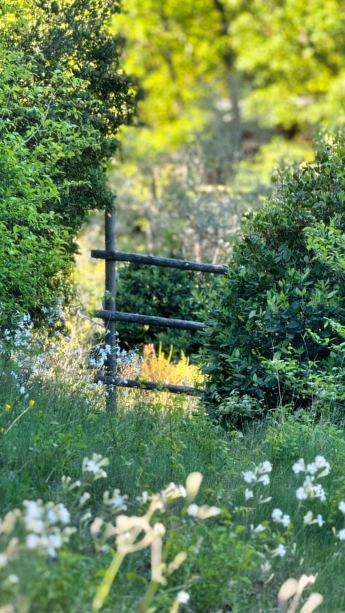 Dans Bastide Provencale, Piscine & Sauna Auriol
